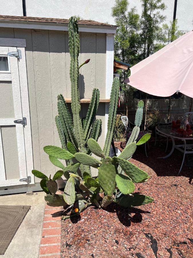 Private Los Angeles Room - Free Wifi, Ac, Tv, Private Fridge, Kitchen, Near Usc - Exposition Park - Usc Memorial Coliseum - Banc Of California Bmo Stadium - Downtown Los Angeles Dtla - University Of Southern California Usc!! Zewnętrze zdjęcie
